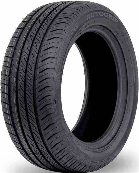 225/50R17 AUTOGRIP P308+