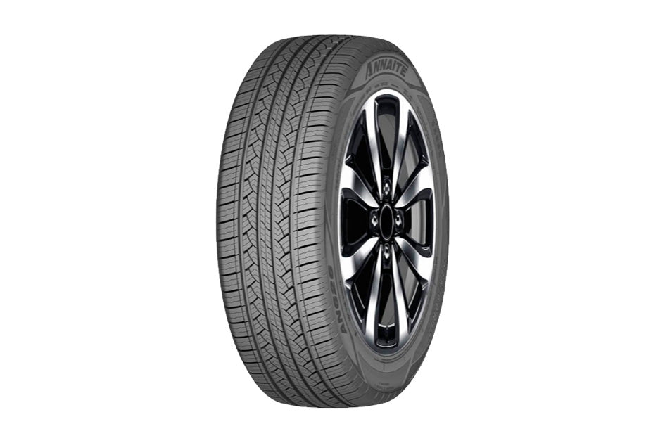 225/60R18 ANNAITE AN626 (OR OTHER)