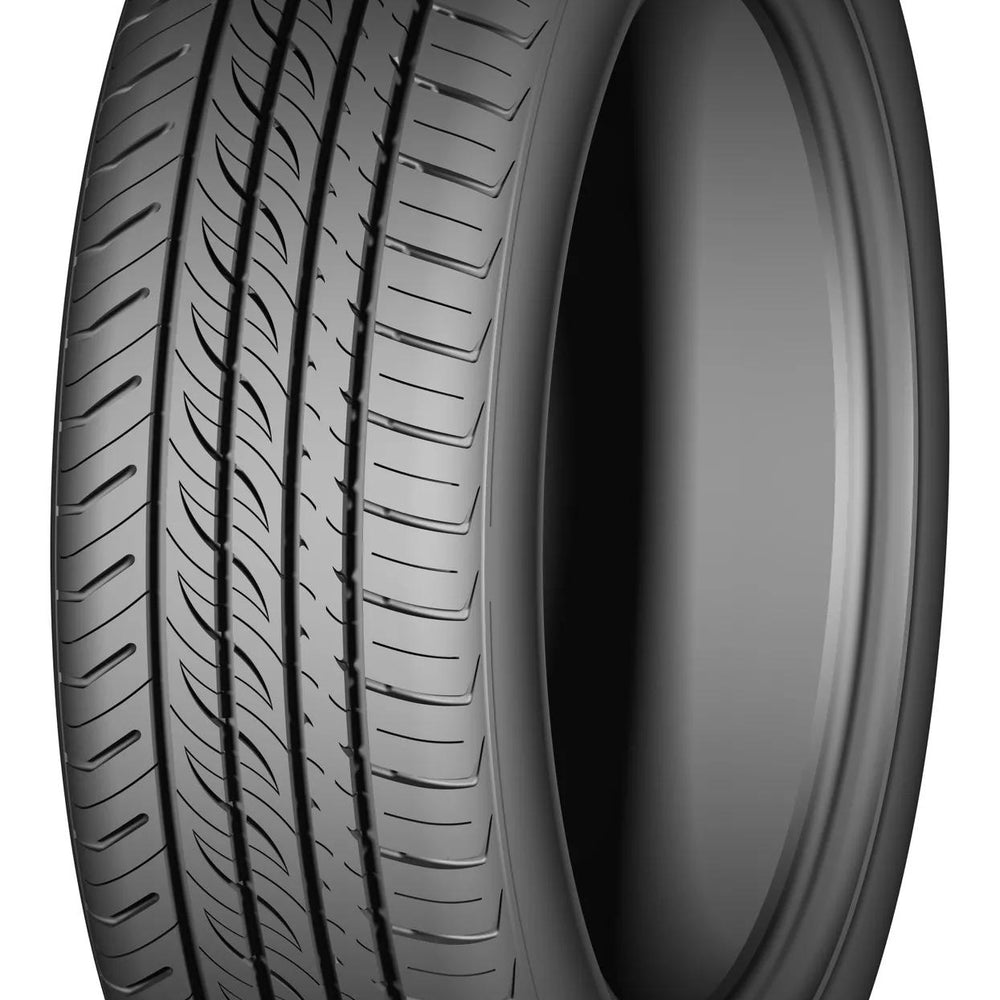 195/55R16 AUTOGRIP P308+ 87V