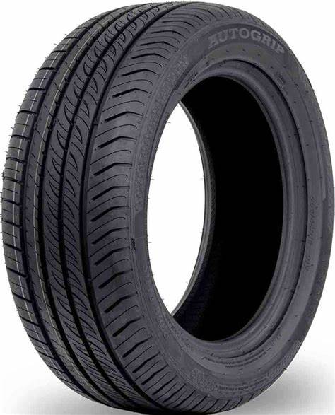 225/50R17 AUTOGRIP P308+ 98W